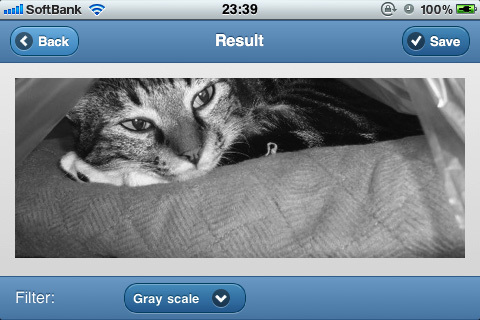 図17　フィルタで「Gray scale」を選択すると、写真がグレースケールに