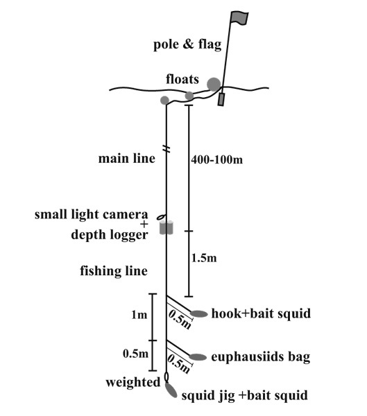 図1　仕掛けの概要、bait squidはイカ型の疑似餌