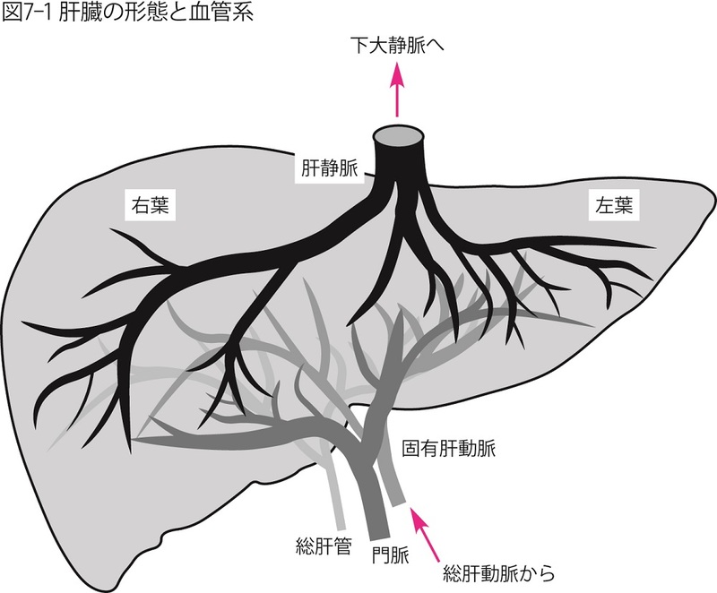 正