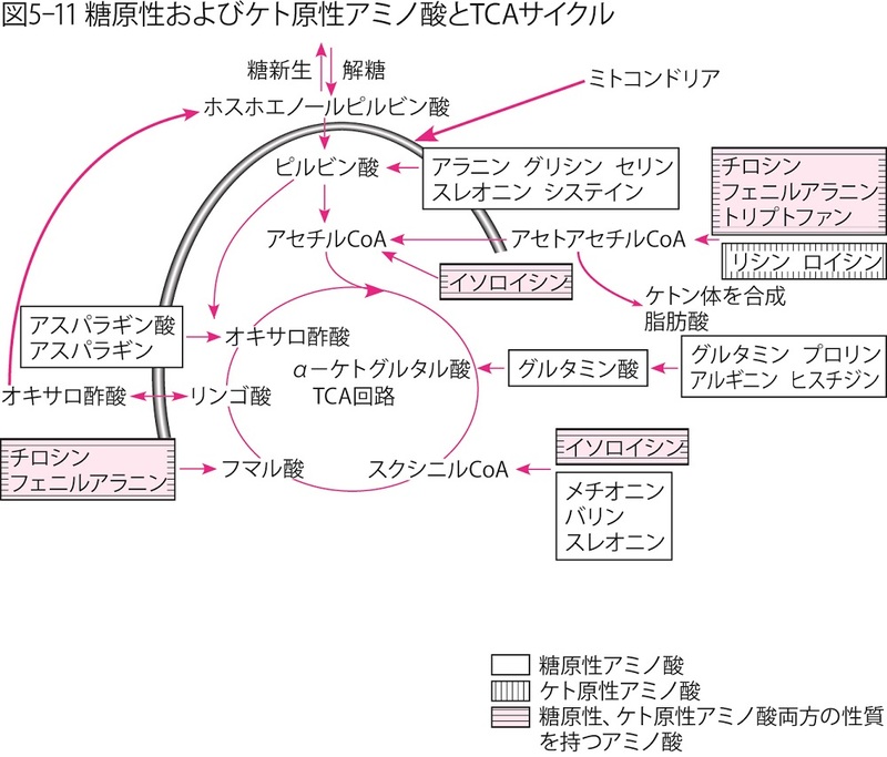 正