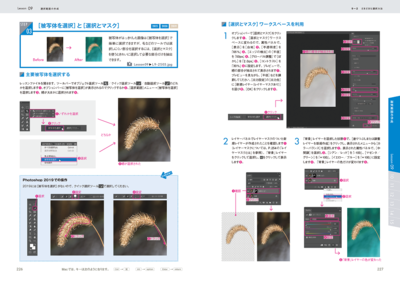 サンプル画像4