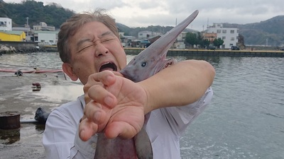 深海生物_2.jpg