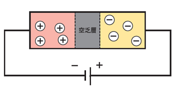 P31逆バイアスの図_正.png