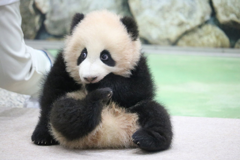 良浜_1.jpg 良浜_1.jpg