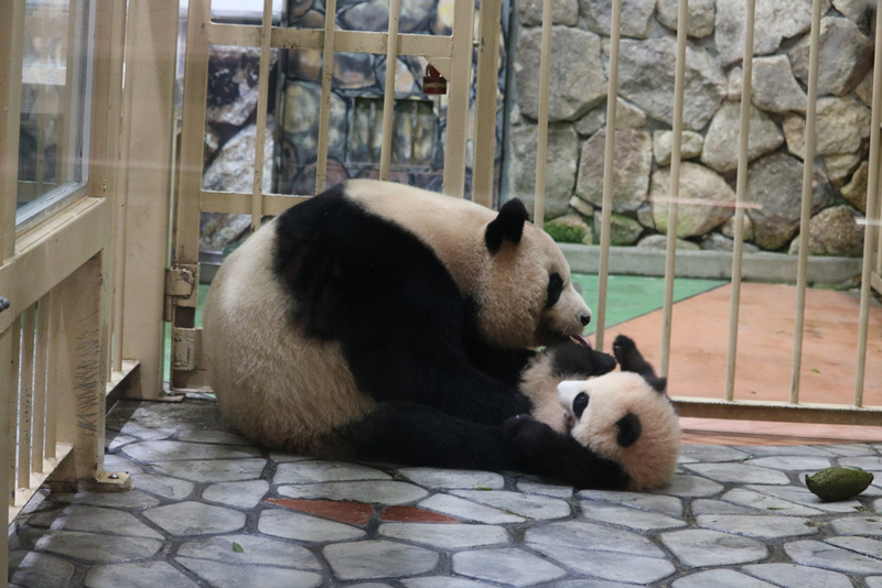 良浜_2.jpg 良浜_2.jpg