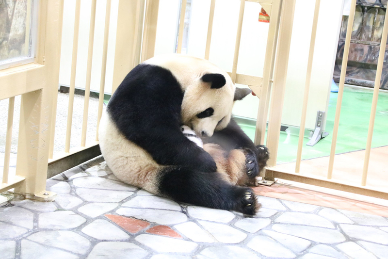 良浜_3.jpg 良浜_3.jpg