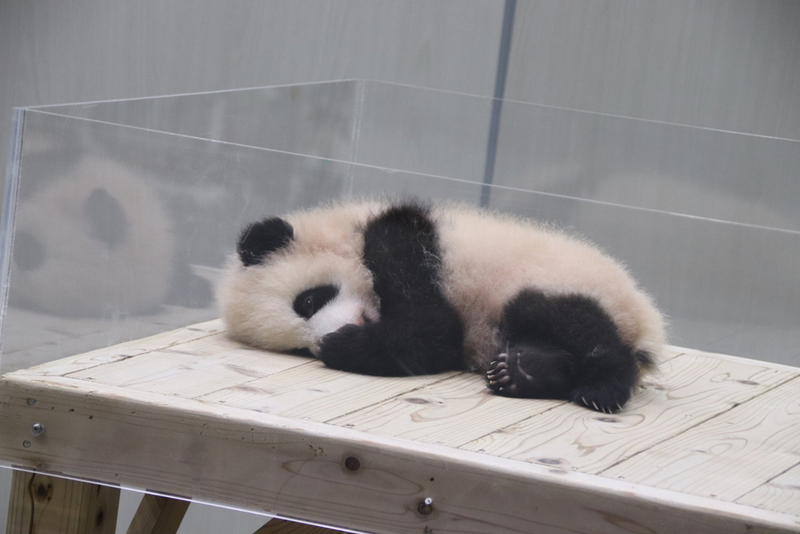 良浜_4.jpg 良浜_4.jpg