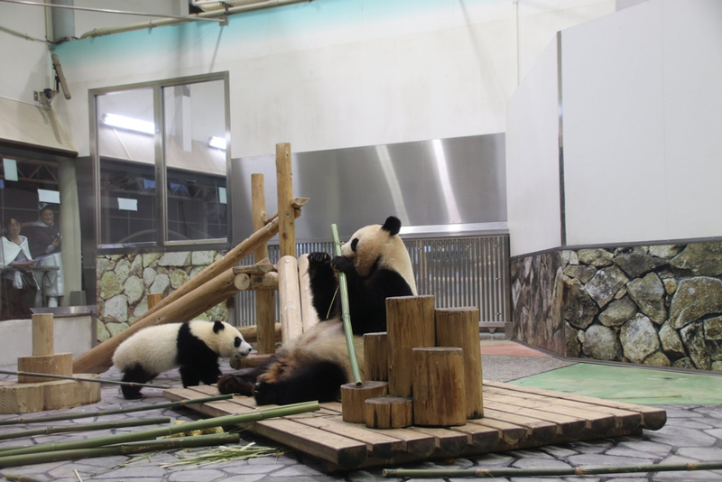 良浜_5.jpg 良浜_5.jpg