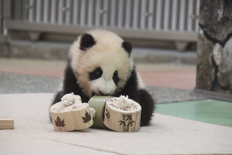 良浜_6.jpg 良浜_6.jpg