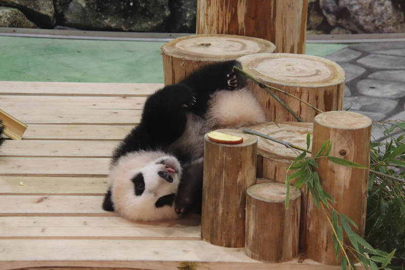 良浜_7.jpg 良浜_7.jpg