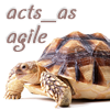アジャイル開発者の習慣－acts_as_agile