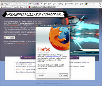 図　Firefox 3.5 Beta 4