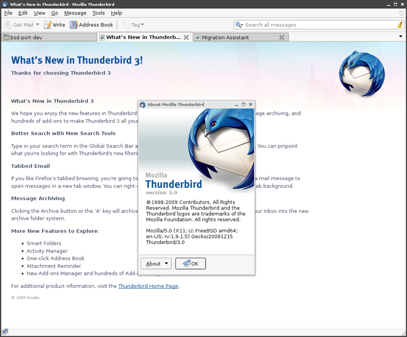 図2　Thunderbird3実行例 - タブでメッセージを同時に開いておける