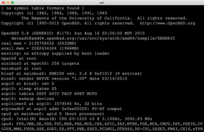 図3　OpenBSD 5.8実行例