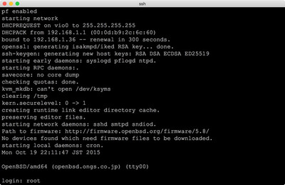 図4　OpenBSD 5.8実行例