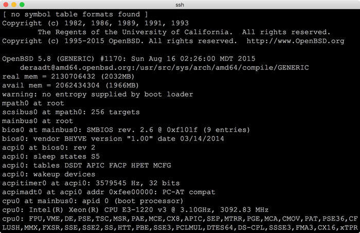 図3　OpenBSD 5.8実行例