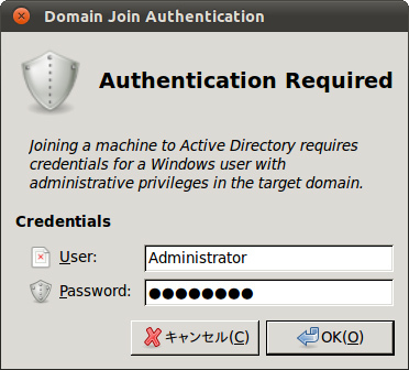 図8　ドメイン管理者のパスワードを入力する