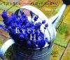 「Everyday Herb」のカバー画像