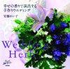 「Wedding Herb」のカバー画像