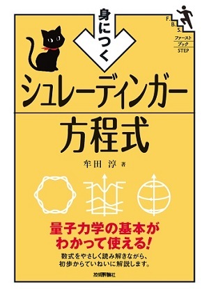 「身につく　シュレーディンガー方程式」のカバー画像