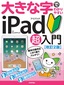 大きな字でわかりやすい iPad アイパッド 超入門［改訂2版］