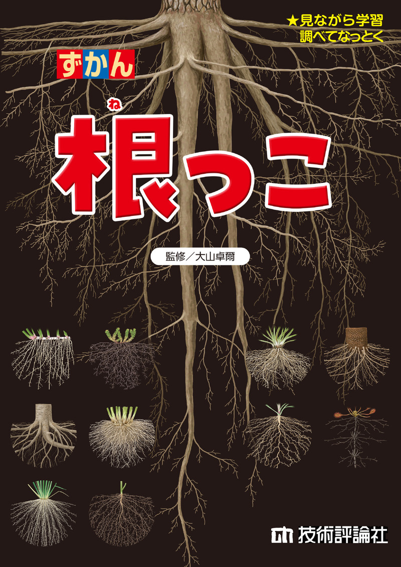 「根っこ」のカバー画像