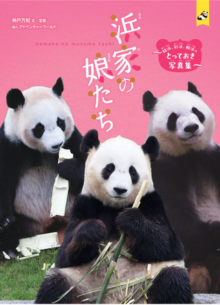 書籍「浜家の娘たち」のカバー画像