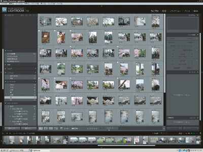 図1　Adobe Photoshop Lightroomで写真を閲覧