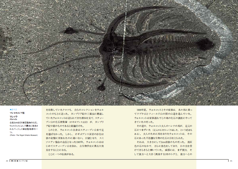 生物ミステリーPRO―いまだから読みたい，古生物たちの世界：新刊ピックアップ｜技術評論社