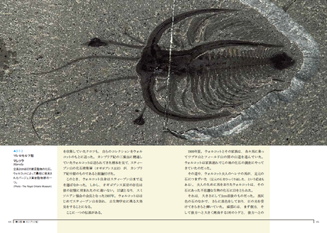 TH460_157-09-01.png