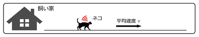 図4　ネコの移動