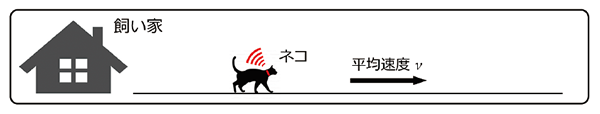 図4　ネコの移動