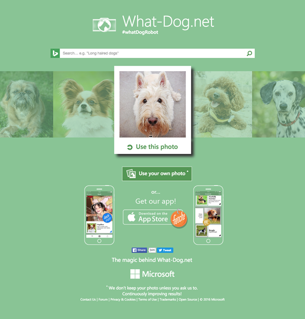 図6　犬種を調べたり写真と似た犬を探せるサービス