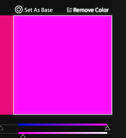 図6　Remove Colorを押すと、その場所は非表示になる