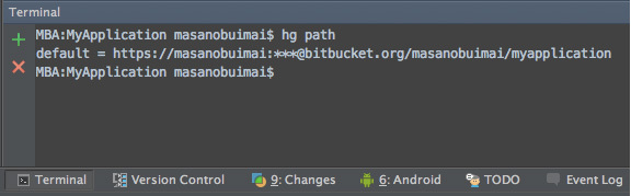 図24　Bitbucketに公開後の hg path の実行結果