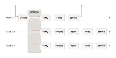 図2　InnoDB Clusterが利用しているグローバル・レプリケーションの合意形成プロトコル