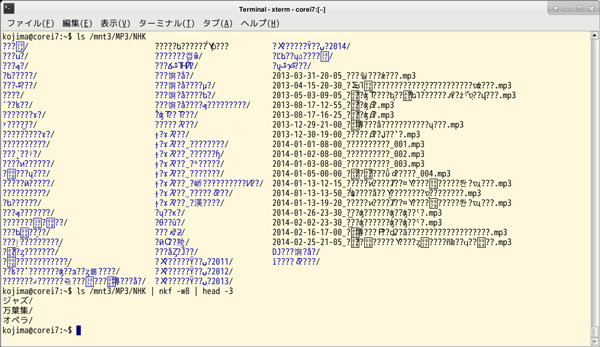 図2　EUC-JPな日本語ファイル名が正しく表示されない