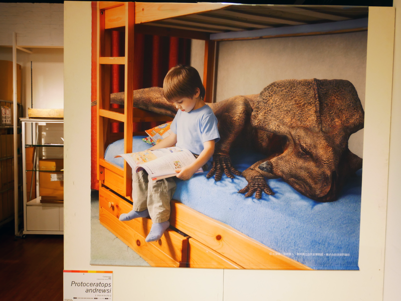 『リアルサイズ古生物図鑑 中生代編』の表紙イメージをモチーフにしたフォトスポット。プロトケラトプス、実は思ったよりも小さい？！